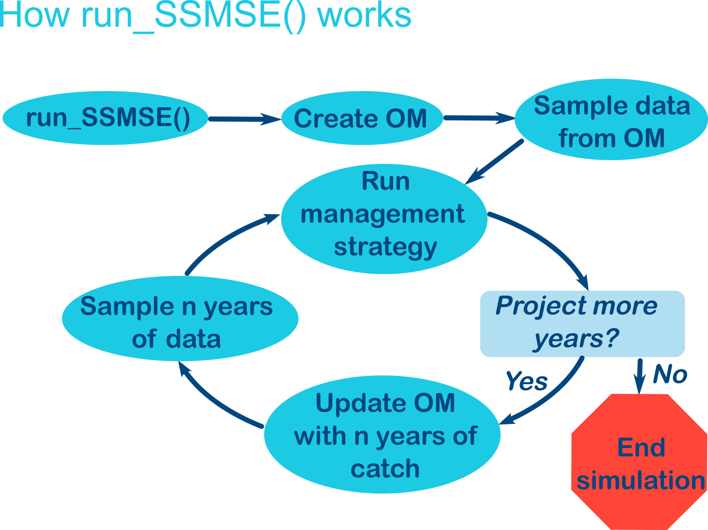 The steps implemented by run_SSMSE in words