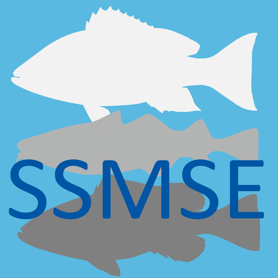 Logo for the SSMSE package